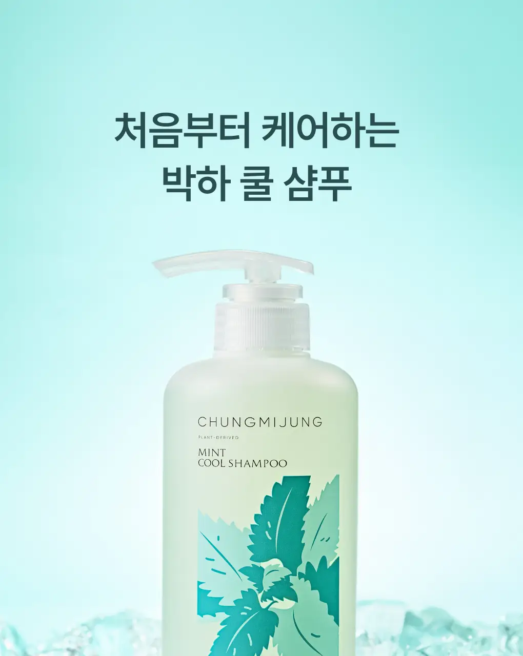 [성분천재/떡짐샴푸] 청미정 박하 쿨 샴푸 500ml (단품/기획) 상세페이지 12